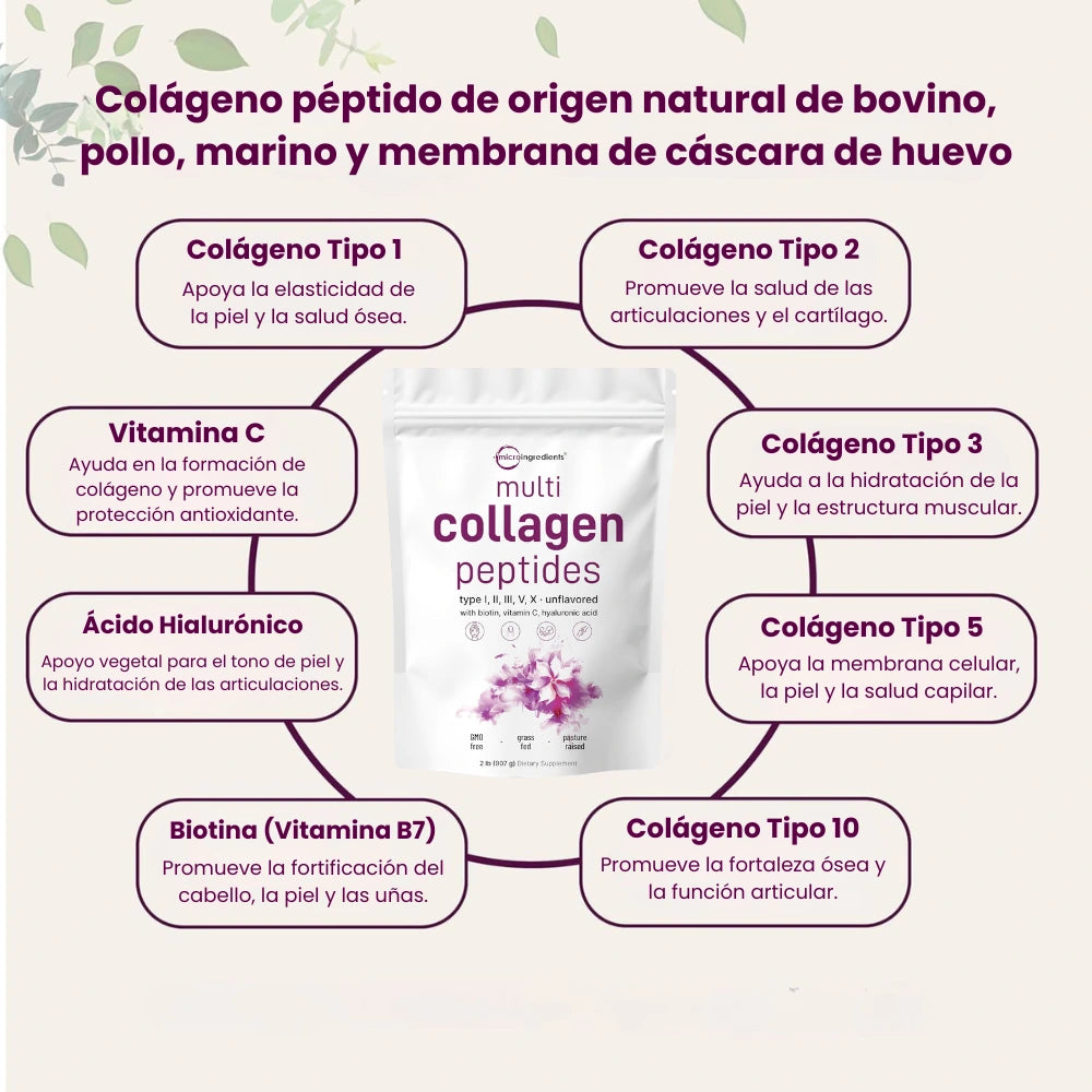 Colágeno en Polvo Multitipo con Ácido Hialurónico, Biotina y Vitamina C