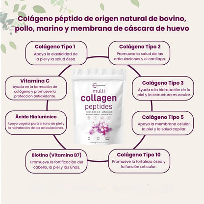 Colágeno en Polvo Multitipo con Ácido Hialurónico, Biotina y Vitamina C