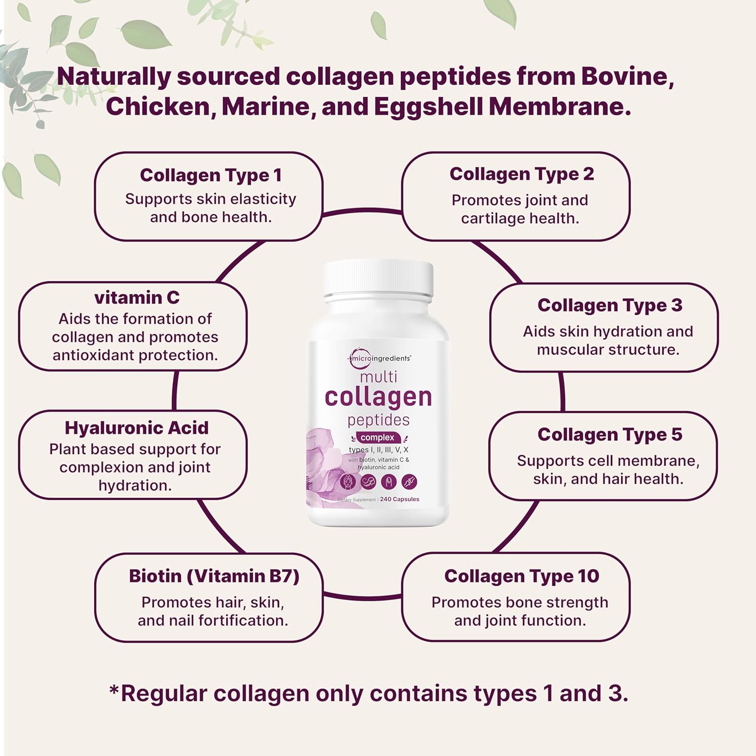 Advanced Multi Collagen Complex