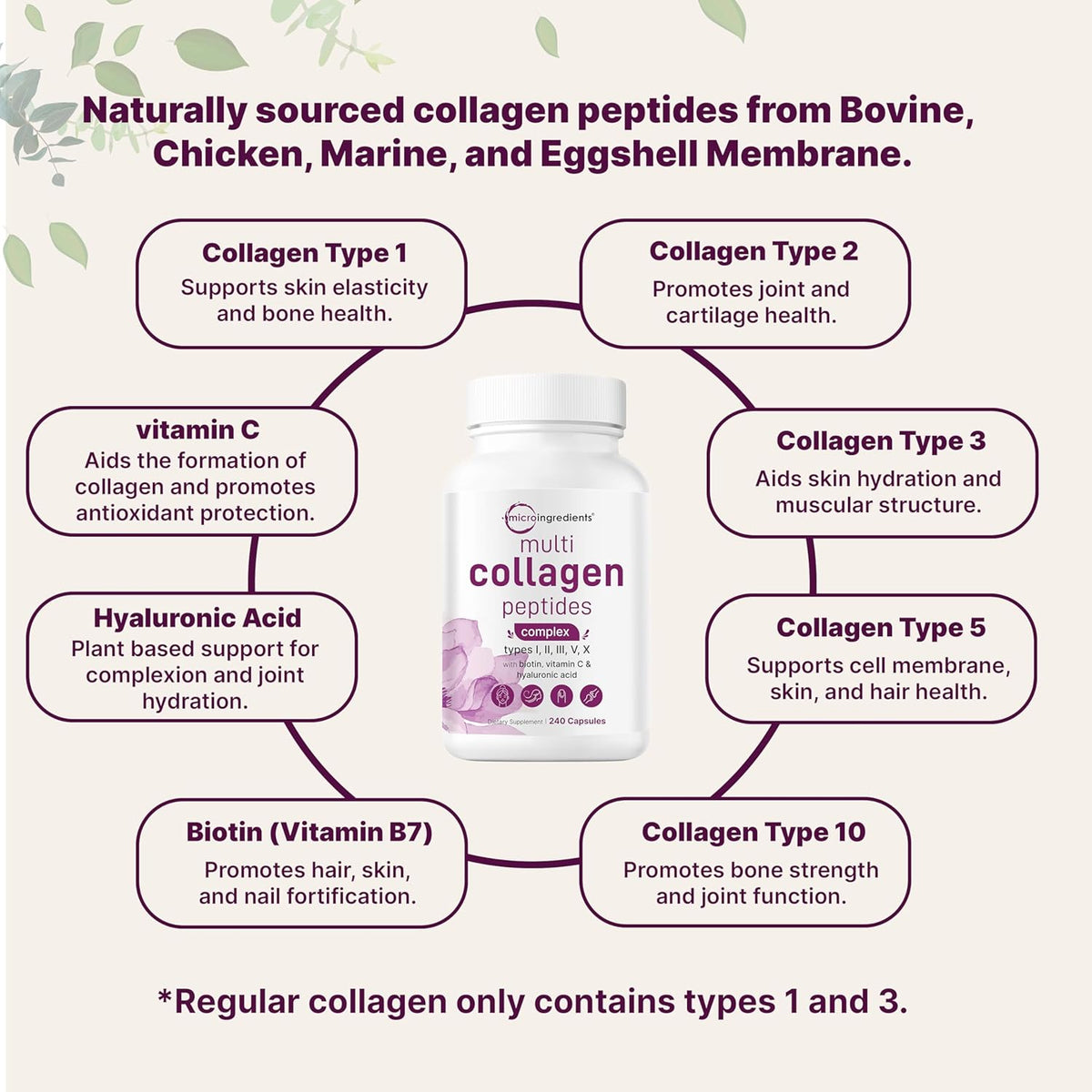 Advanced Multi Collagen Complex