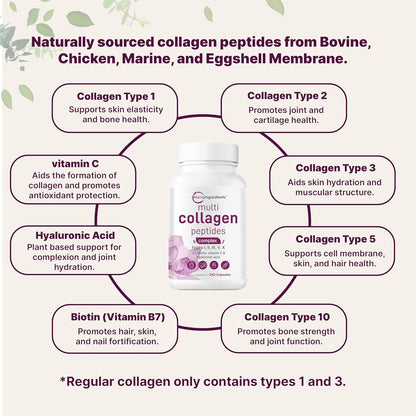 Advanced Multi Collagen Complex